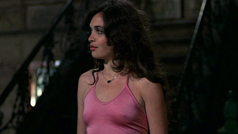 Pic: Deborah Van Valkenburgh in The Warriors
