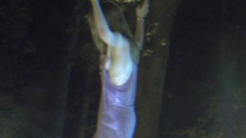 Pic: Anna Paquin in Straight A's