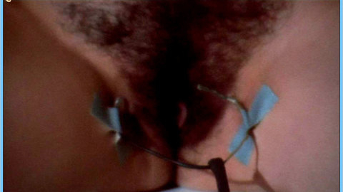 Pic: Lina Romay in Women Behind Bars