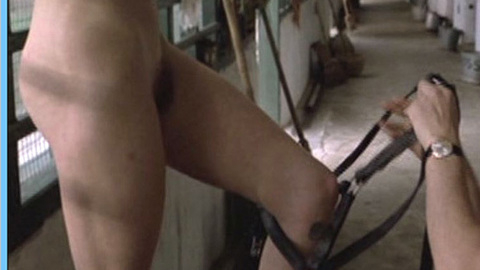 Pic: Felicity Devonshire in La fine dell'innocenza