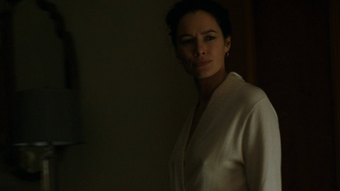 Pic: Lena Headey in Zipper