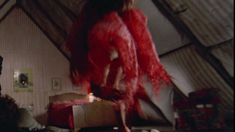 Pic: Tina Turner in Tommy