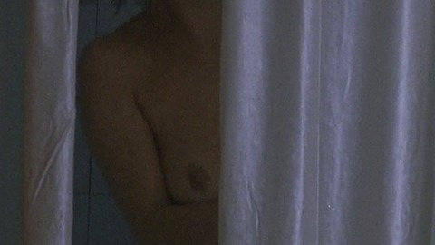 Pic: Laura Morante in The Dancer Upstairs