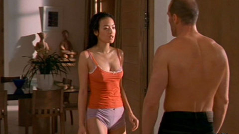 Pic: Qi Shu in The Transporter (2002)