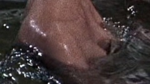 Pic: Grace Kelly in The Bridges at Toko-Ri