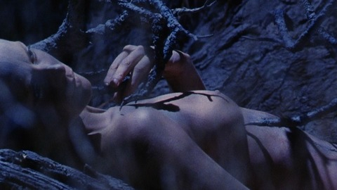 Pic: Jenny Seagrove in The Guardian