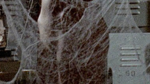 Pic: Susanne Benton in A Boy and His Dog