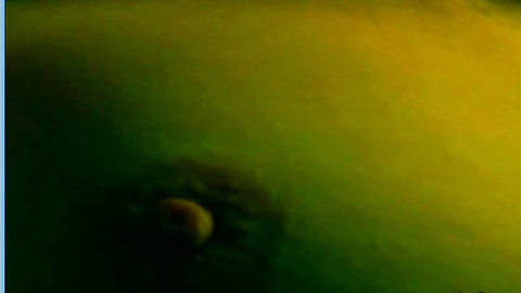 Pic: Rebecca Palmer in Blood Trails