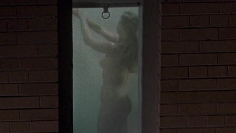 Pic: Lisa Fallon in F/X2