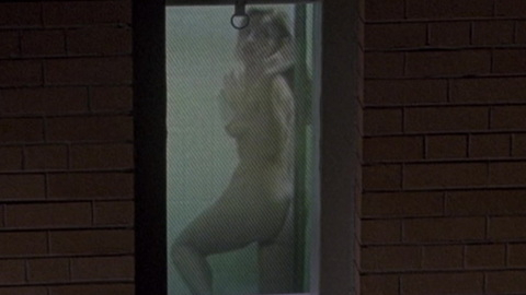 Pic: Lisa Fallon in F/X2