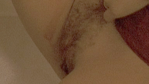 Pic: Karen Lancaume in Baise-moi