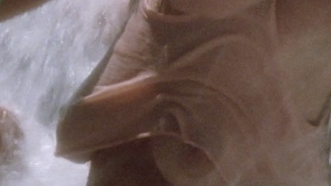 Pic: Leslie Graves in Piranha Part Two: The Spawning