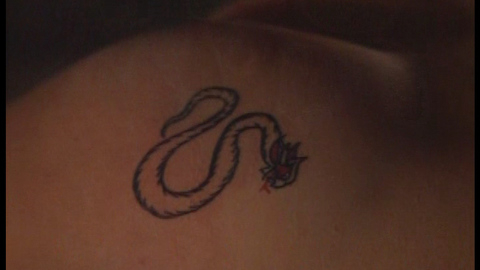 Pic: Lenore Zann in Natural Enemy