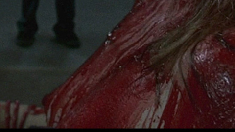 Pic: Janet Tracy Keijser in Parasomnia (2008)