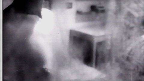 Pic: Essy Persson in I, a Woman