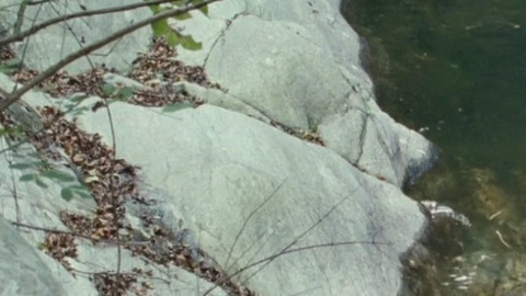 Pic: Isild Le Besco in Deep in the Woods