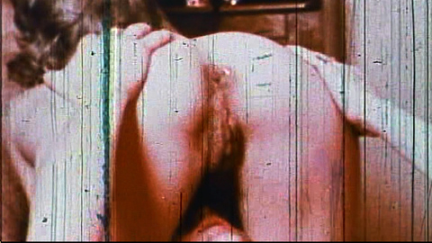 Pic: Dolly Sharp in The Weirdos and the Oddballs