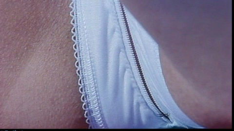 Pic: Miho Nomoto in Gokudô sengokushi: Fudô