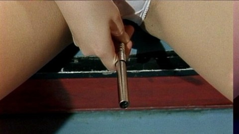 Pic: Miho Nomoto in Gokudô sengokushi: Fudô