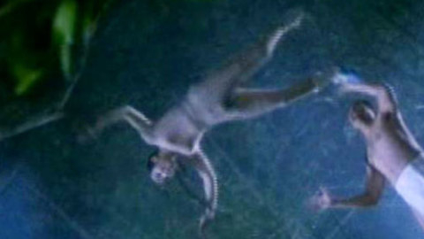 Pic: Julie Lee in A Chinese Torture Chamber Story