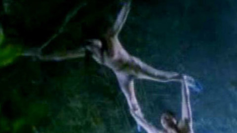 Pic: Julie Lee in A Chinese Torture Chamber Story