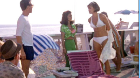 Pic: Jessica Walter in The Flamingo Kid