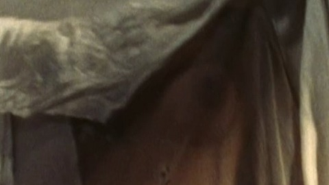 Pic: Denice Duff in Bloodstone: Subspecies II