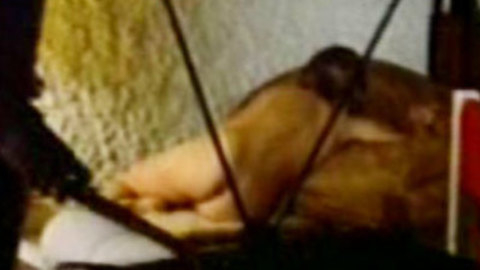 Pic: Vera Fischer in As delícias da vida