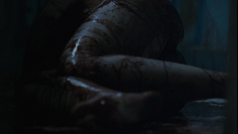 Pic: Danielle Harris in Halloween II