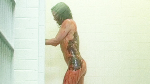 Pic: Danielle Harris in Hatchet III