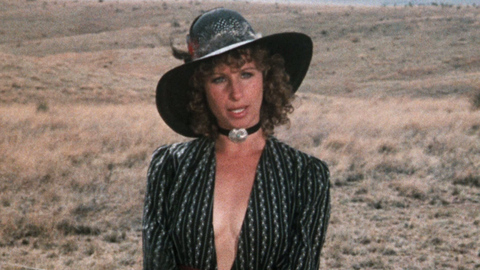 Pic: Barbra Streisand in A Star Is Born