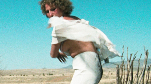 Pic: Barbra Streisand in A Star Is Born