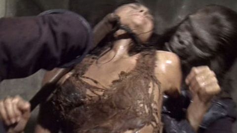 Pic: Linda Harrison in Planet of the Apes