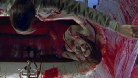 Pic: Shawna Loyer in Thir13en Ghosts