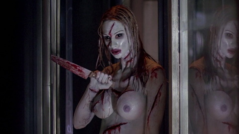 Pic: Shawna Loyer in Thir13en Ghosts