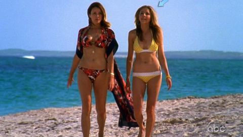 Pic: Sarah Chalke in Scrubs