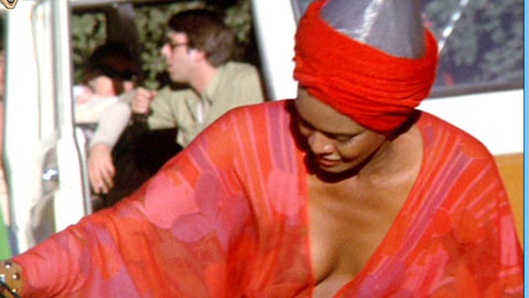 Pic: Tamara Dobson in Cleopatra Jones
