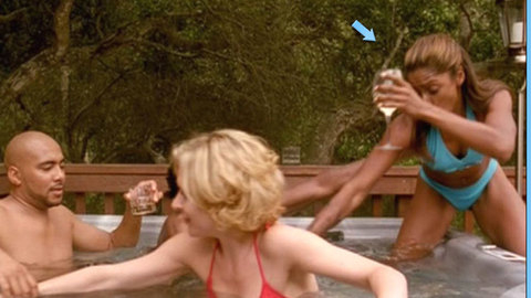 Pic: Adrienne-Joi Johnson in Skin Deep
