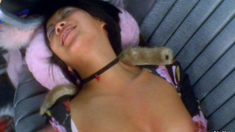 Pic: Minh-Khai Phan-Thi in Viergeteilt im Morgengrauen