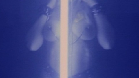 Pic: Melissa Brasselle in Cyborg 3