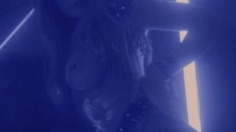 Pic: Melissa Brasselle in Cyborg 3