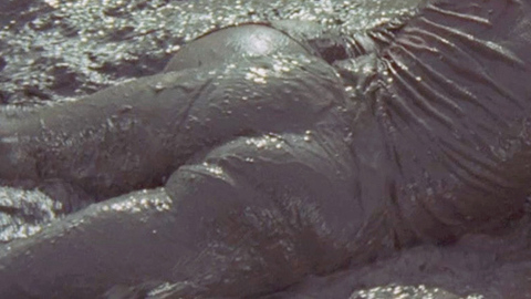 Pic: Roberta Collins in The Big Doll House