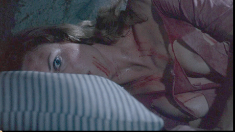 Pic: Roberta Collins in Women in Cages