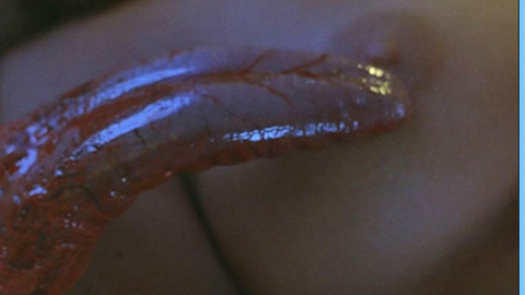 Pic: Ann Wolf in Plankton