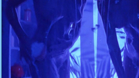 Pic: Loren De Palm in Plankton
