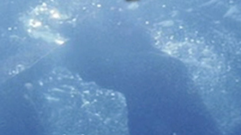 Pic: Roselyn Sanchez in Boat Trip