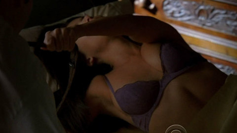 Pic: Roselyn Sanchez in Without a Trace