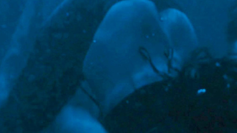 Pic: Michelle Rodriguez in BloodRayne