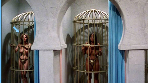 Pic: Sharon Kelly in Ilsa, Harem Keeper of the Oil Sheiks
