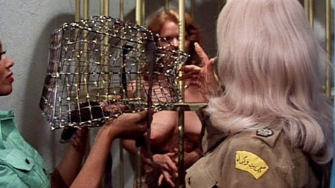 Pic: Sharon Kelly in Ilsa, Harem Keeper of the Oil Sheiks